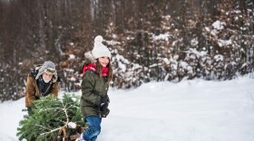 Grandfather and a small girl getting a Christmas tree in forest. Winter day. Copy space.