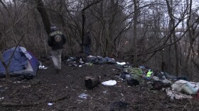 tents  in the the woods