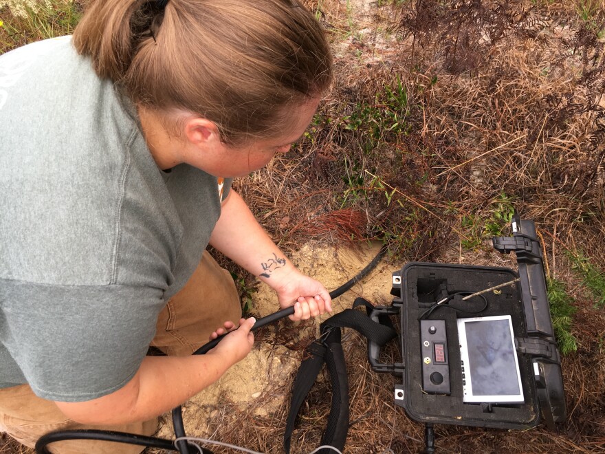 Savannah McGuire with the Georgia Department of Natural Resources maneuvers a camera down into a gopher tortoise burrow.