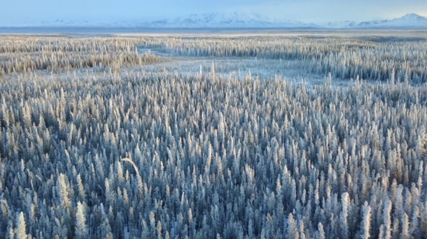 Still image from "Snow Scientists in the Windswept Montana Prairie"