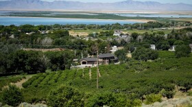 Rows of trees in a neighborhood next to Willard Bay, a bay of Great Salt Lake. 