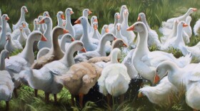 a painting of a gaggle of geese by Leslie Peck