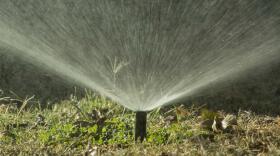 sprinklers