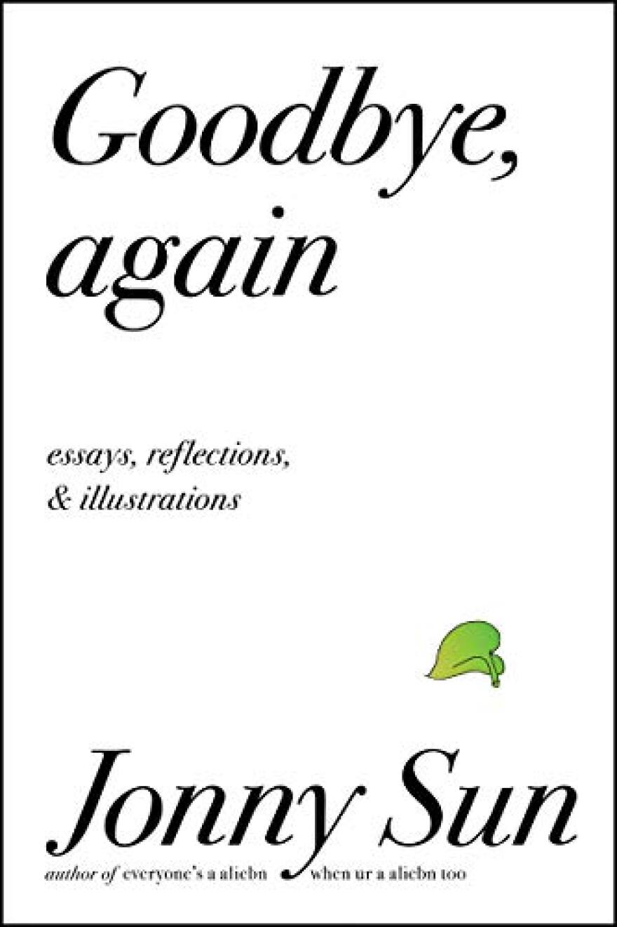 goodbye_again_cover.jpg