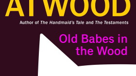 "Old Babes in the Wood" book cover. (Courtesy of Doubleday)