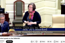 Massachusetts State Senator Jo Comerford at a hearing Wednesday, April 1, where spoke about addressing the needs of farmworkers through policies outlined in her FARM bill. The state senate voted unanimously on the bill.