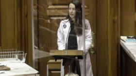 Dr. Caitlin Bernard testified in the House Public Health Committee on legislation to would require doctors like her to tell patients about abortion reversal treatment.