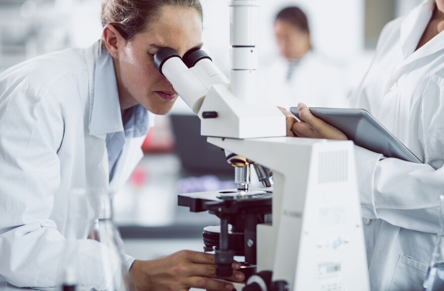 A Scientist's Gender Can Skew Research Results | KERA News