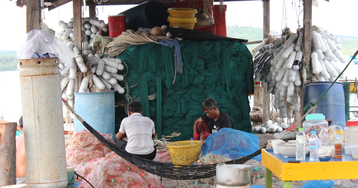 New Orleans may abandon recycling initiative; artificial reefs in Alabama help to restore sea habitats