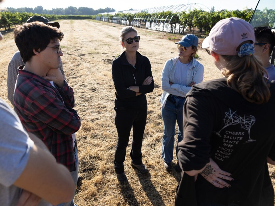 Dr. Anita Oberholster, Ph.D.talks to fellow researchers at a vineyard in Davis, Calif., Thursday, Aug. 10, 2023.