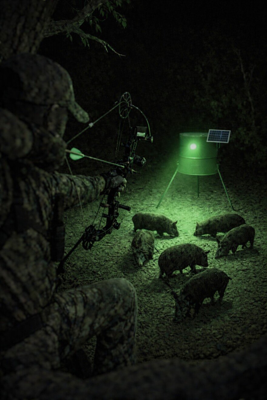 Visual example of night time hog hunting