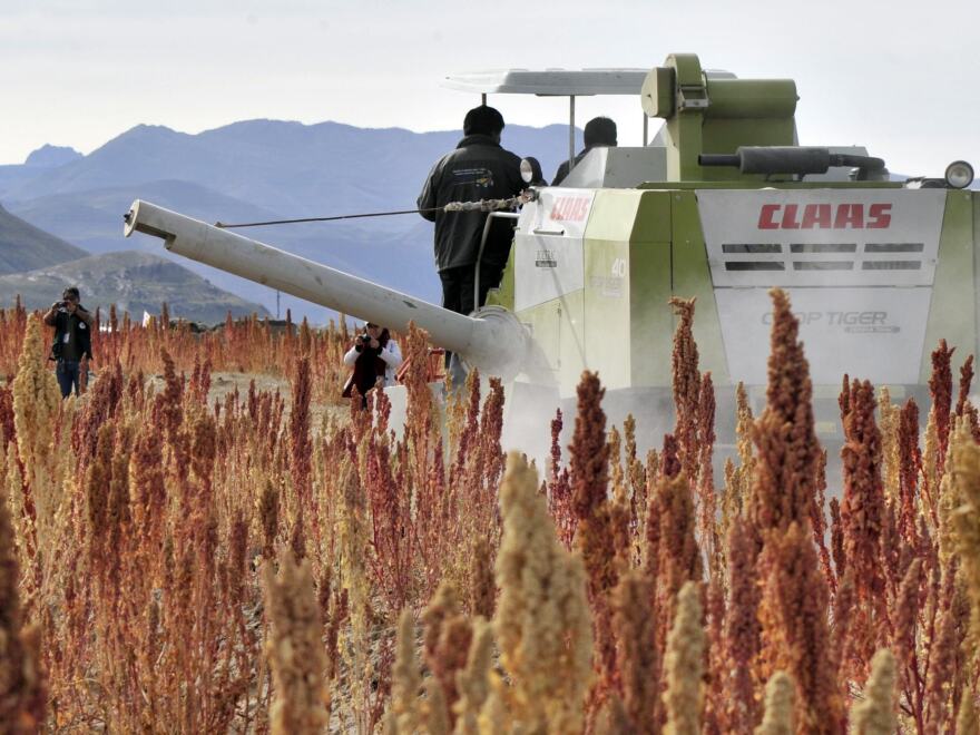 A combine harverster at work in a quinoa field in Pukara, southern Bolivia, in March. Bolivia produces 70 percent of the world's quinoa.