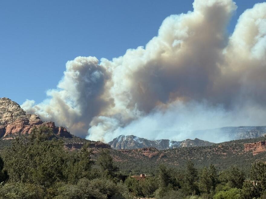 Large plume of grey smoke in blue sky above green trees