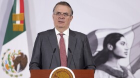 Mexican Economy Minister Marcelo Ebrard addresses the media.