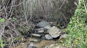 Large stones in a narrow creek