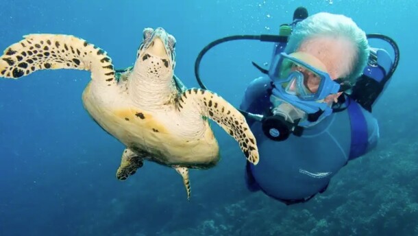 Jean-Michel Cousteau