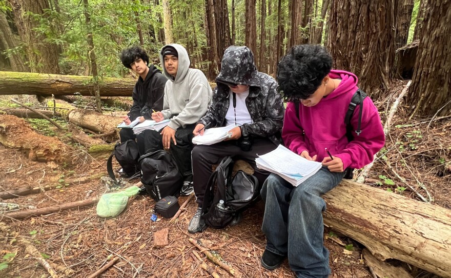 Downtown Continuation High School students have a lesson in the redwoods.