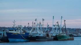 New Bedford is the nation’s highest-grossing fishing port.