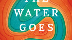 Where the Water Goes by David Owen.