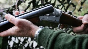 It's best to keep this out of Rover's paws. 