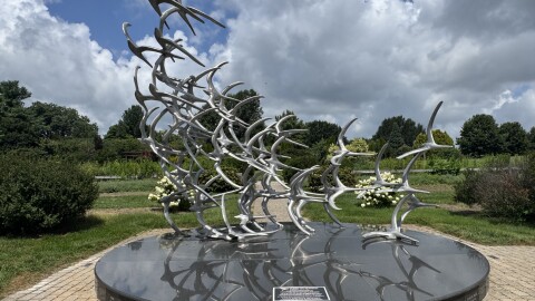 The Comair Flight 5191 sculpture at The Arboretum State Botanical Garden of Kentucky in Lexington, designed by sculptor Douwe Blumberg, honors those killed in the crash with 49 birds taking flight. Each bird contains mementos from loved ones sealed inside.