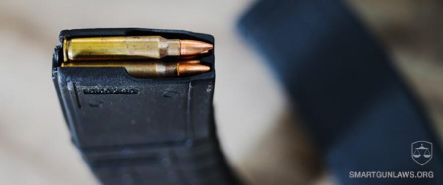largecapacityammo-cropped.jpg