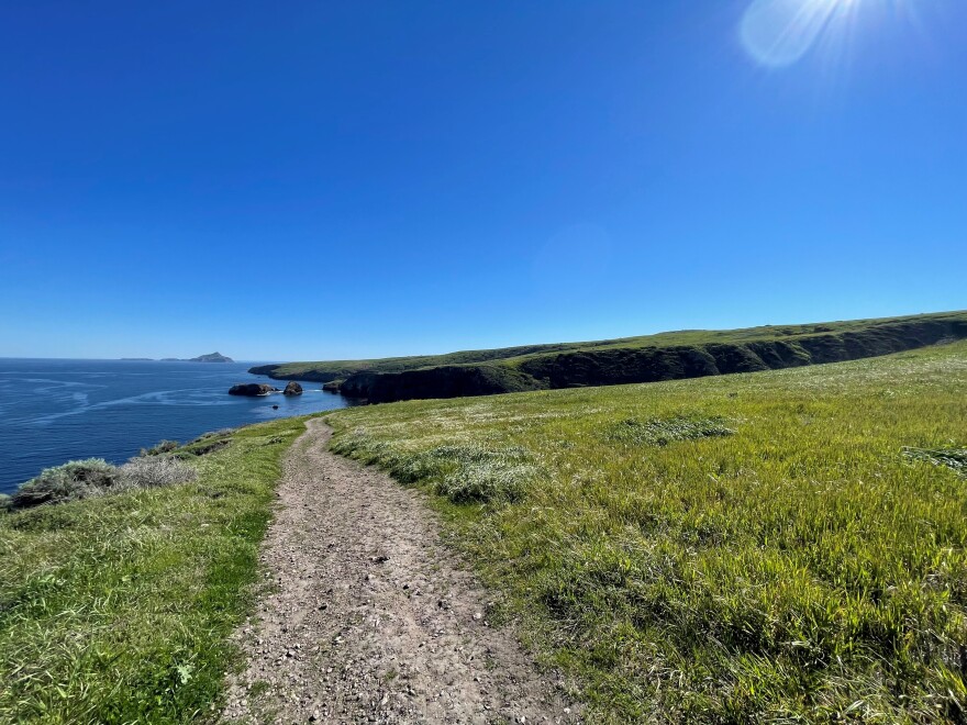 A view from one of the cliffs on Santa Cruz Island. The Channel Island Foxes that live on this island explore all areas of it including the cliffs, beaches and campground.