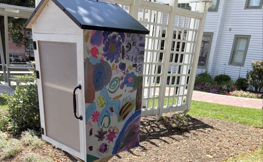 Newly-installed little free library in downtown Boone.