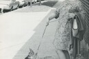 Mary Scholl walks her dog