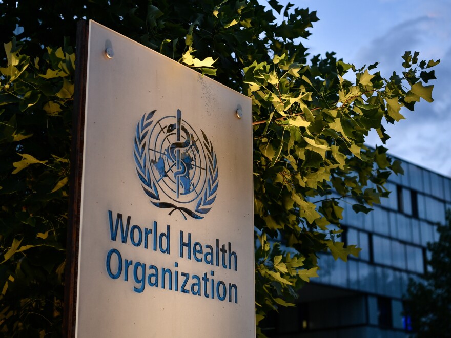 A report issued by the World Health Organization this week detailed 83 allegations of sexual abuse by its employees during the Ebola crisis in the Democratic Republic of Congo that started in 2018. Director-General Tedros Adhanom Ghebreyesus called it a "dark day" for the U.N. body.