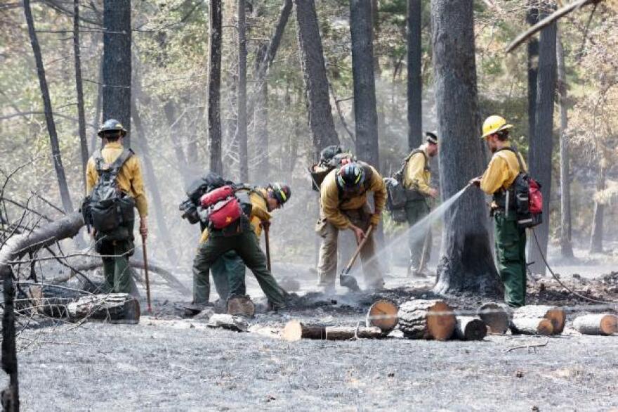 A firefighter was struck by a falling tree and killed while fighting fire in the Lolo National Forest Wednesday.