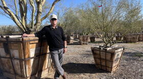 Man in black shirt stands next to potted plant