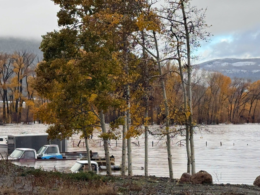 Behind a group of aspen trees, the area is severely flooded, with several trucks submerged up to the windows or even higher. There are more aspen trees and mountains visible in the background.