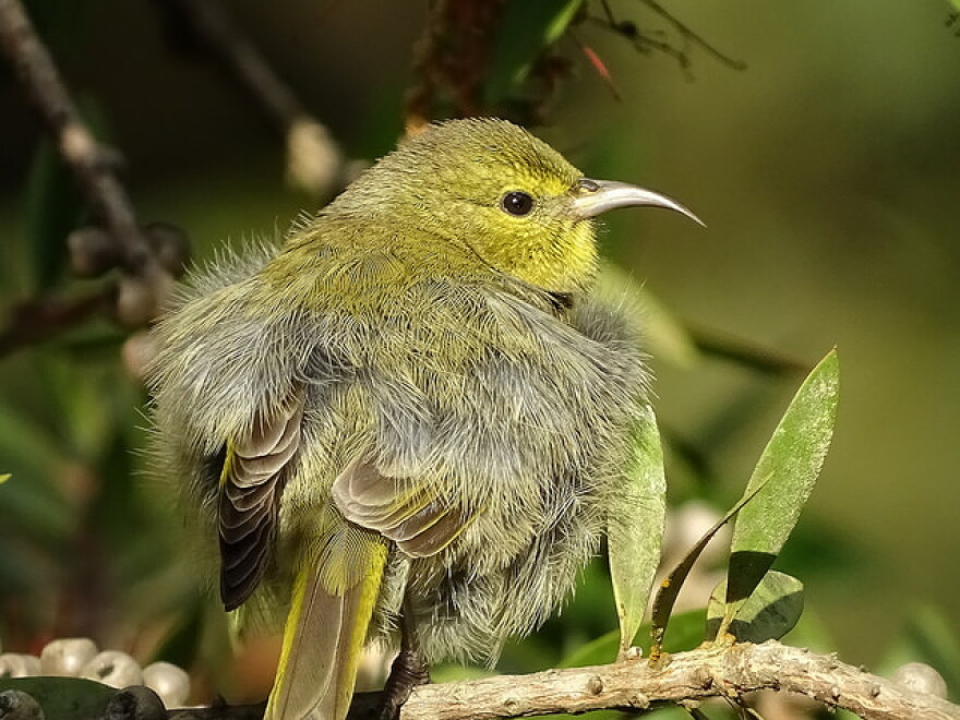 Sue Salisbury / Flickr