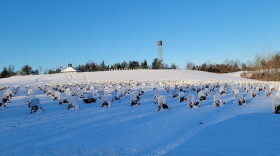 The Kentucky Veteran Cemetery Central in Radcliff is one of the five state veterans' cemeteries that participate in Wreaths Across America.