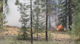 U.S. Forest Service