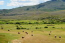 Hay bales lie in pastures in front of foothills to mountains.