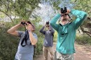 Trying to spot an inconspicuous grosbeak at the Edinburg Scenic Wetlands and World Birding Center.