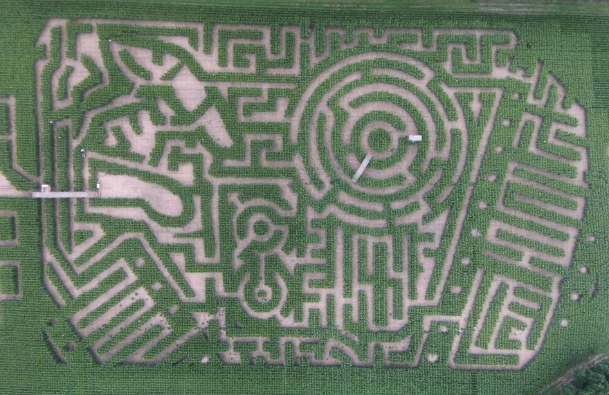 2018 Amazing Maize Maze