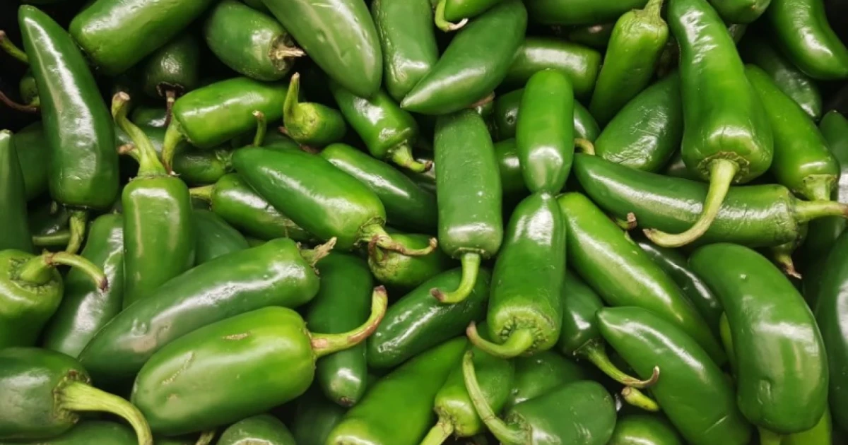 Jalapeno products sold in Illinois recalled over possible salmonella contamination
