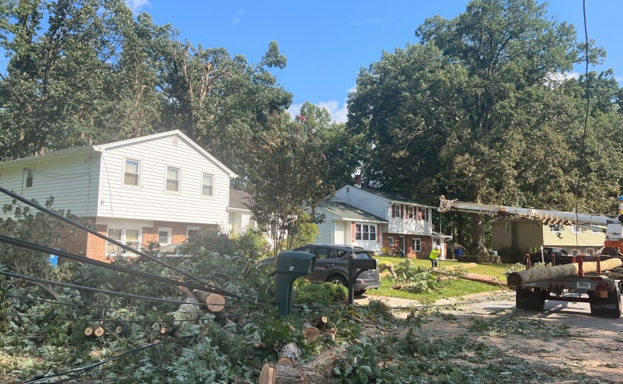 Power lines in Cherokee Woods torn down by fallen trees.