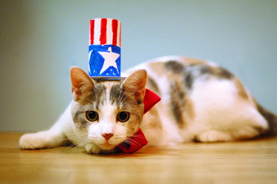 I can haz ballot, plz?