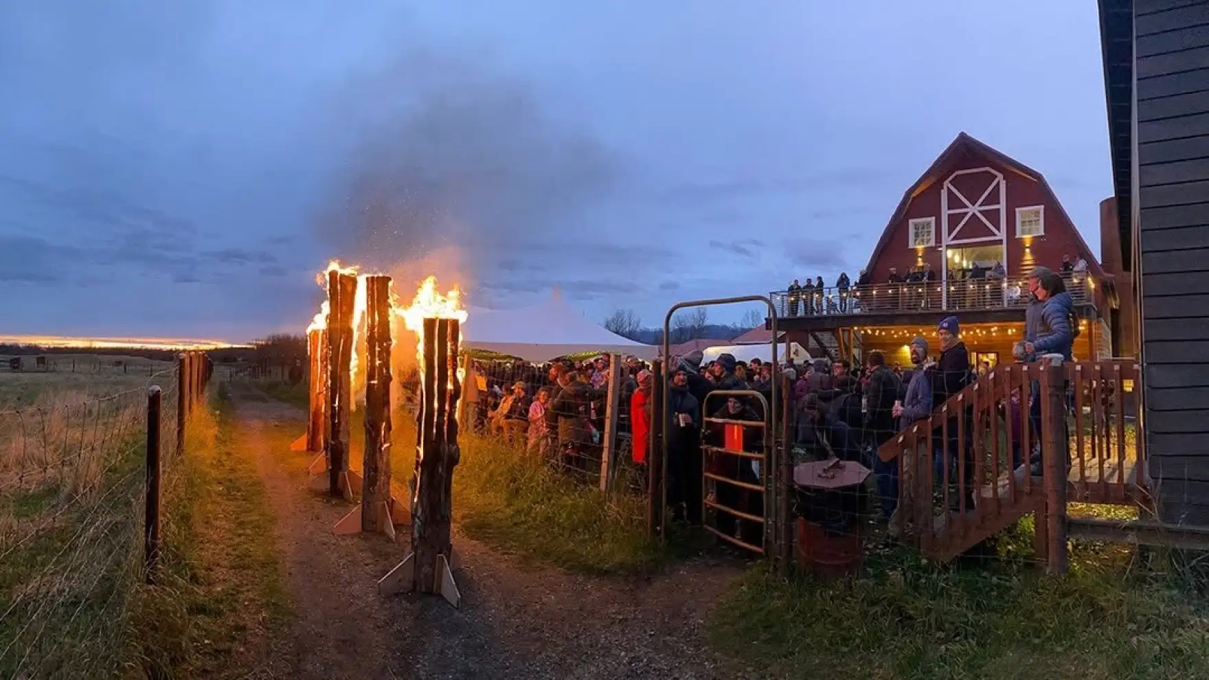 The Anchorage Weekender: A musk ox party, a teen book club and 8 more local events