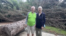 Lee and Alyce Tracy stand in front of a fallen tree on the Montana State University Billings campus Wednesday morning. It was one of many found on campus Wednesday morning, like the one that fell onto their house.