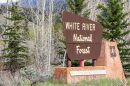 A brown sign surrounded by trees says White River National Forest