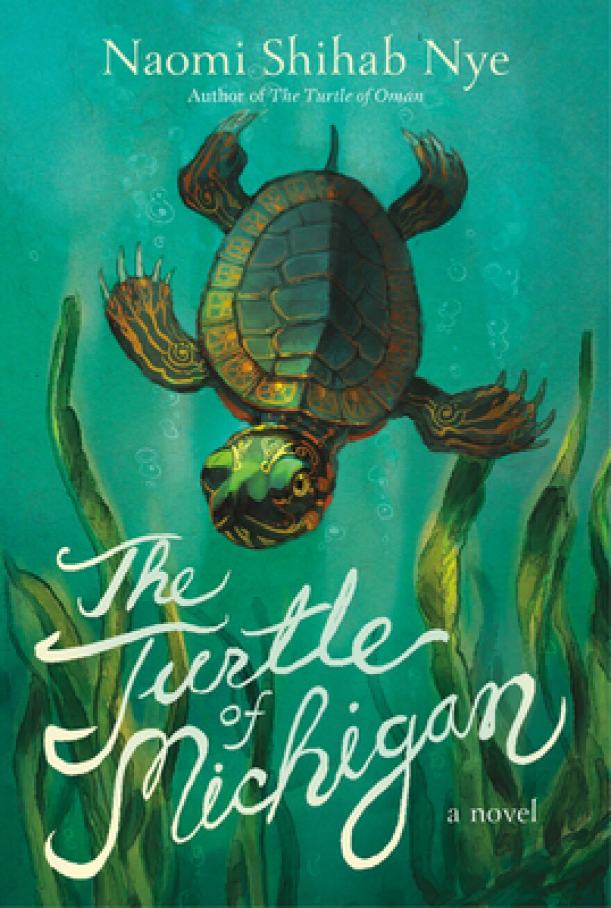 Turtle of Michigan.jpg