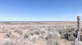 Fields near Dove Creek show dry early spring conditions, as farmers monitor soil moisture and wind ahead of planting season.