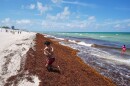A man carries a child through sargassum seaweed after cooling off in the ocean during a watch party for the opening World Cup Group A soccer match between Mexico and South Africa, Miami Beach, Fla.,Thursday, June 11, 2026.