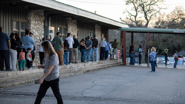 Voters wait in line during early voting for the March 2026 primary elections.