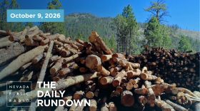 Stacks of logs in the San Francisco Peaks of the Coconino National Forest in northern Arizona await cutting and splitting into firewood on June 8, 2020. Tall stacks of logs left over from a forest thinning project in mountains overlooking Flagstaff are being processed into thousands of cords of free firewood to provide a winter heat source for northern Arizonans, including residents of the Navajo and Hopi reservations. (AP Photo/Paul Davenport)